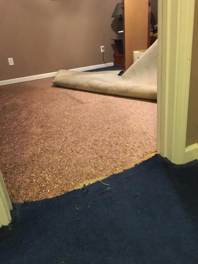 Carpet pad removal revealing water damage during Water Mitigation Services in Lackawaxen