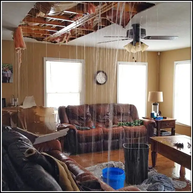 Water Damage Restoration services in Lackawaxen, PA