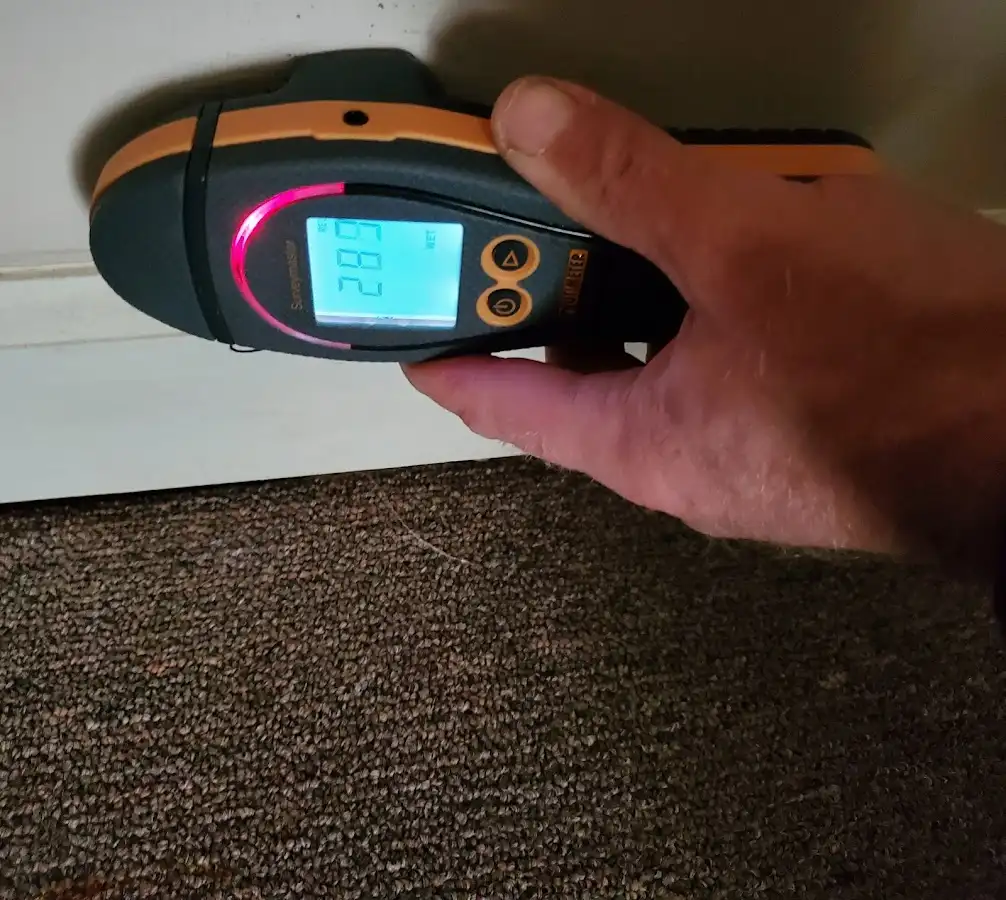 Moisture detection at baseboard during Sewage Cleanup & Sanitation in Lackawaxen